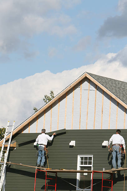 Best Steel Siding Installation  in Coushatta, LA